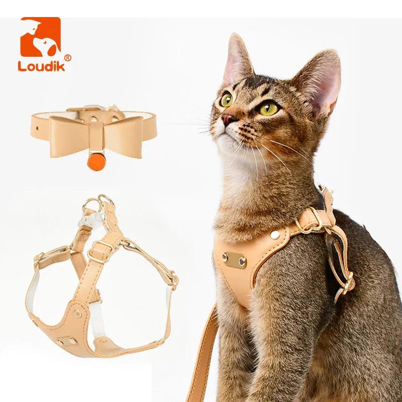 Collier et harnais pour chat, en cuir - Animalerie en ligne Kat-Shop