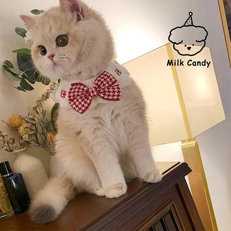 Collier, tour de cou pour chat - Animalerie en ligne Kat-Shop