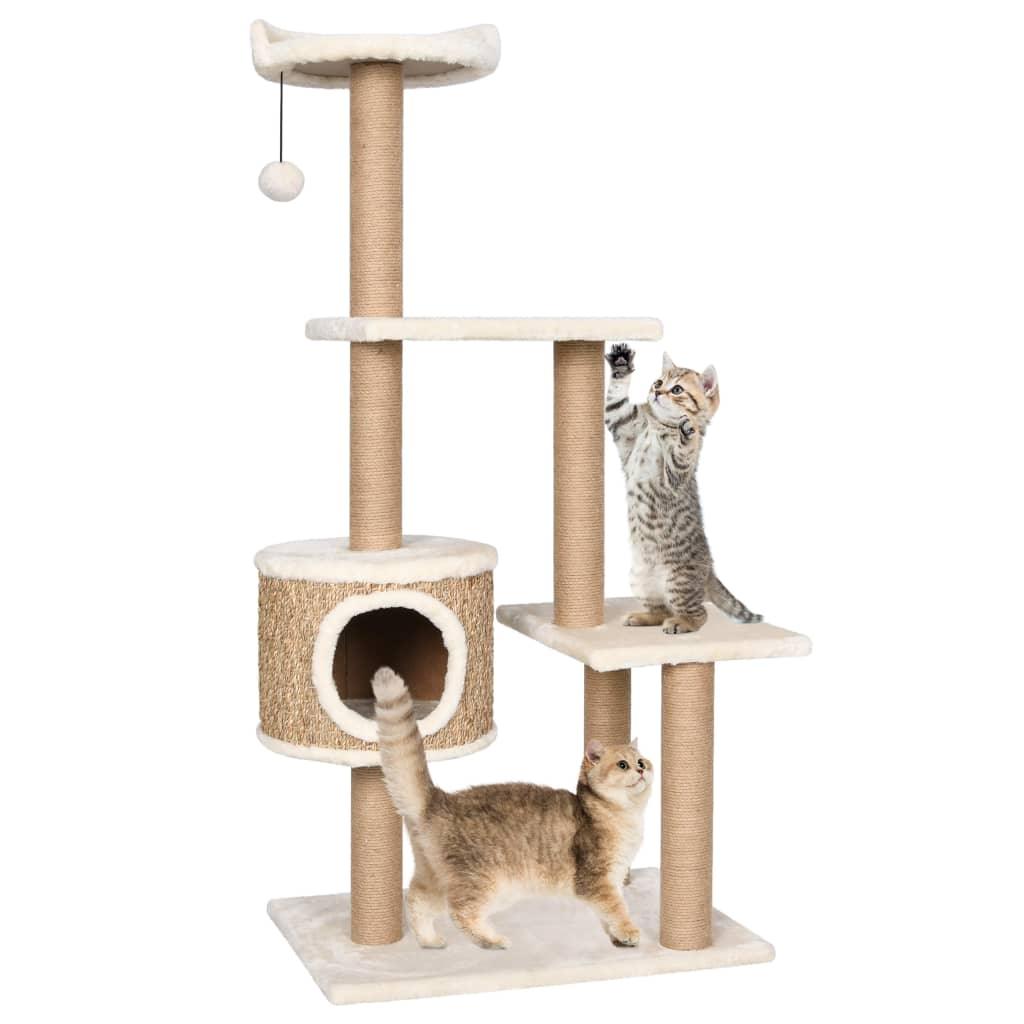 Arbre à chat avec griffoirs 123 cm Herbiers marins - Animalerie en ligne Kat-Shop