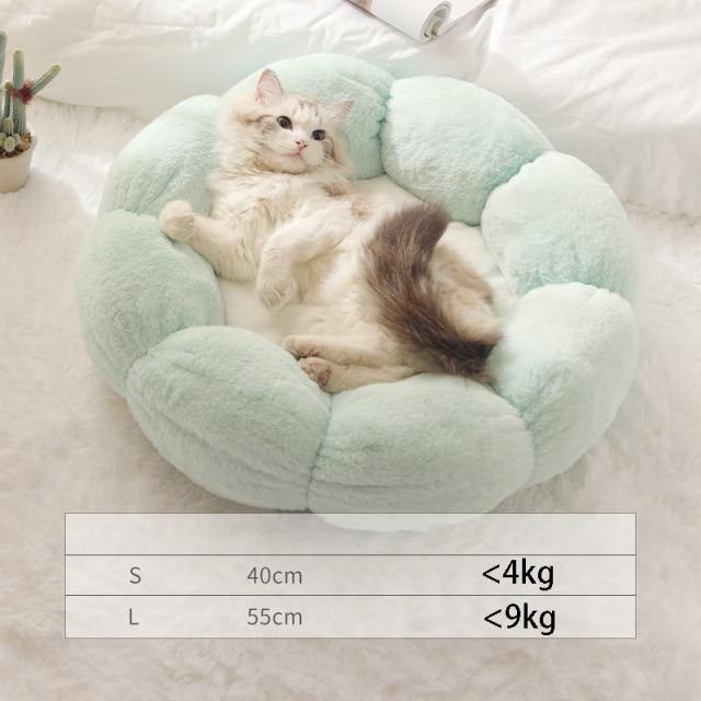 Pet bed for cat window basket cushion products for pets accessories carpet small dogs plush cats sleep bed niche pour chat - www.kat-shop.be